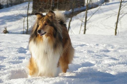 Fotos f. Homepage Galerie 045